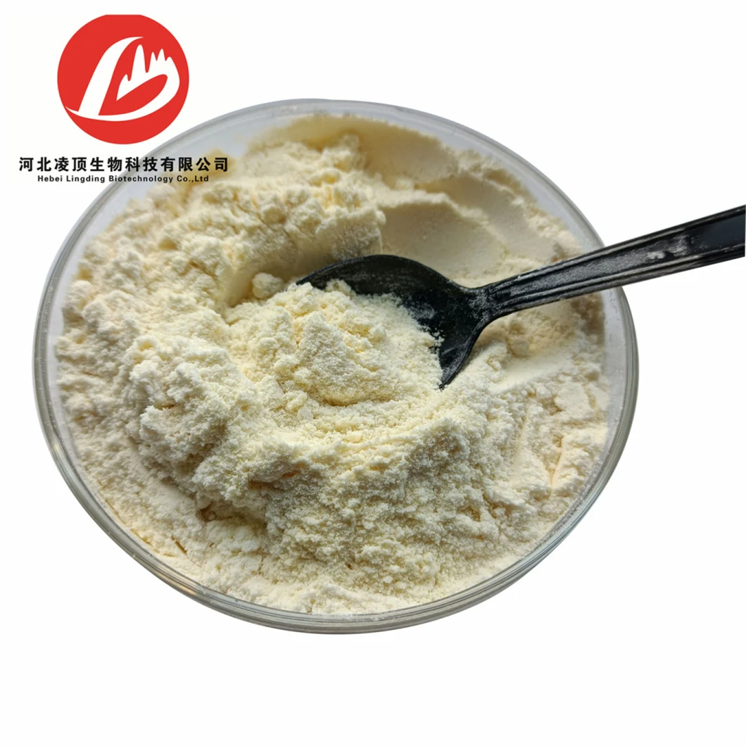 Food Ingredient Soy Protein Isolate CAS 9010-10-0 Soy Protein