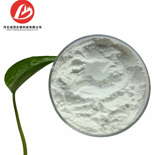 Cosmetic Raw Materials Ascorbyl Tetra-2-Hexyldecanoate CAS 183476-82-6