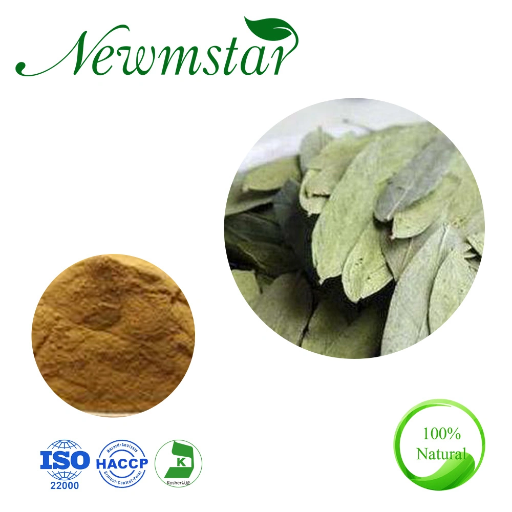 Weight Lose Nutrition Supplement Herbal Extract /Sennosides 4% Senna Leaf Extract / Plant Extract