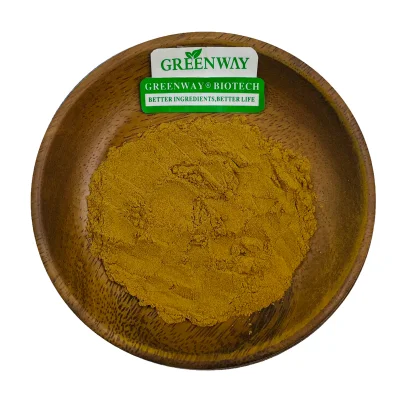 Food Additive Herbal Extract Natural Sarsaparilla Root Extract Sarsasapogenin CAS 126-19-2