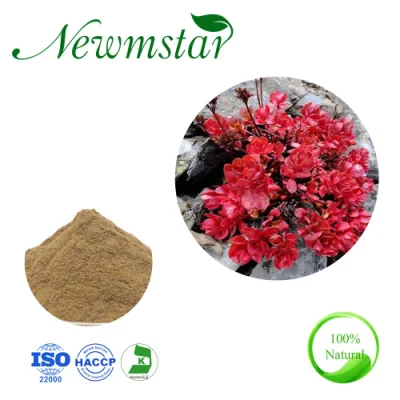 Cosmetic Ingredient Plant Extract Rhodiola Crenulata Powder Salidroside3% Rhodiola Rosea Extract