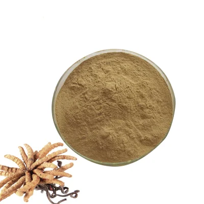 Optimum Nutrition of Organic Cordyceps Militaris Extract Powder Best Healthy Herbal Pre Workout Supplements Plant Extract